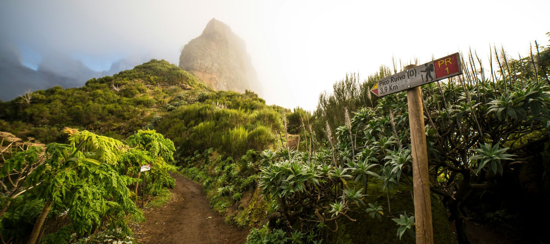Madeira Active